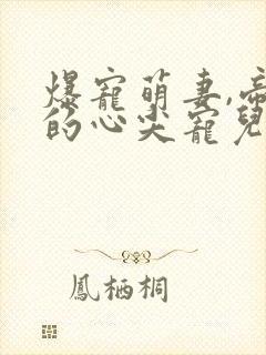 爆宠萌妻,帝少的心尖宠儿