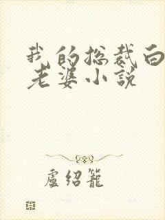 我的总裁白富美老婆小说