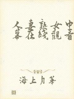 人妻熟女中文字幕在线观看