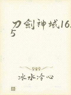 刀剑神域16.5