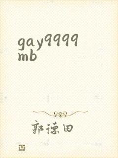 gay9999mb封面