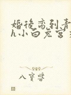 婚后脔到青梅哭h小白兔宫交h