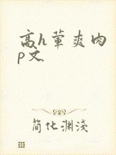 高h荤爽肉〈np文