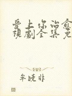 爱上你治愈我电视剧全集免费观看封面