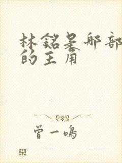 林铭是哪部小说的主角