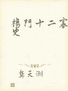 杨门十二寡妇艳史