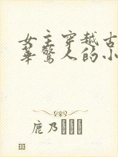 女主穿越古代才华惊人的小说
