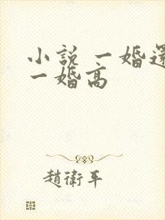 小说 一婚还比一婚高封面