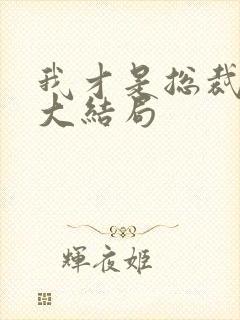 我才是总裁夫人大结局