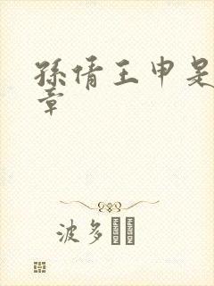 孙倩王申是第几章