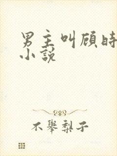男主叫顾时衍的小说