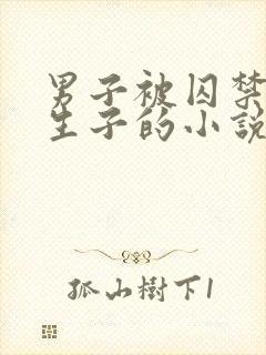 男子被囚禁改造生子的小说