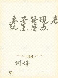 妻子发现老公出轨怎么办封面
