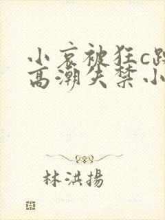 小哀被狂c躁到高潮失禁小说