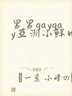 男男gaygay亚洲小鲜肉网站封面