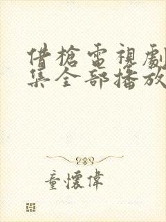 借枪电视剧40集全部播放