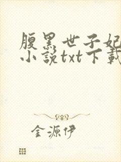 腹黑世子妃日常小说txt下载