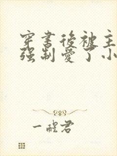 穿书后被主角受强制爱了小说