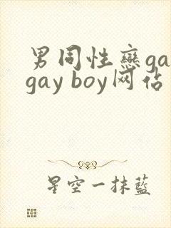 男同性恋gaygay boy网站封面