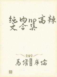 纯肉np高辣h文合集