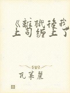 《离职后我被前上司缠上了》封面