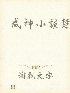成神小说楚子风封面