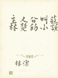 主人公叫苏彻,林楚的小说名字