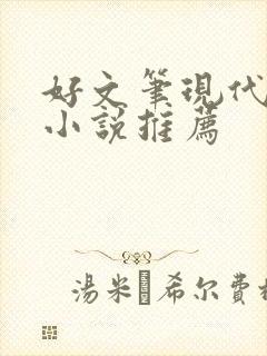 好文笔现代言情小说推荐