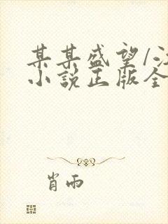 某某盛望/江添小说正版全文下载封面