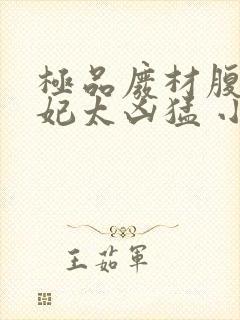 极品废材腹黑狂妃太凶猛 小说