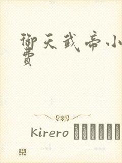 御天武帝小说免费