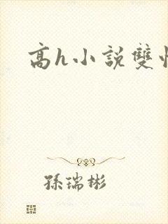 高h小说双性人