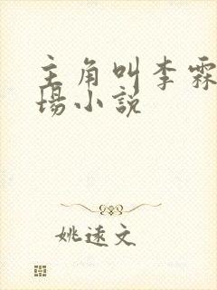 主角叫李霖的官场小说封面