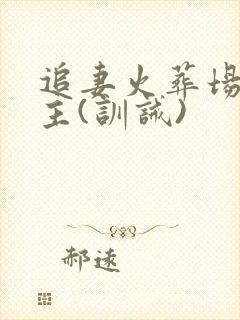 追妻火葬场双男主(训诫)封面