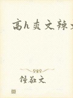 高h爽文辣文封面