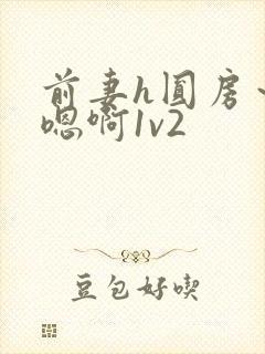 前妻h圆房～h嗯啊1v2