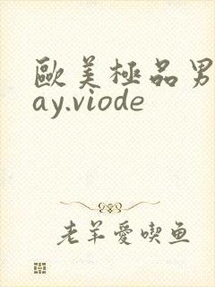 欧美极品男男gay.viode