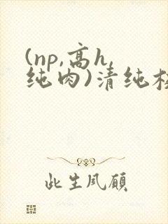 (np,高h,纯肉)清纯校花