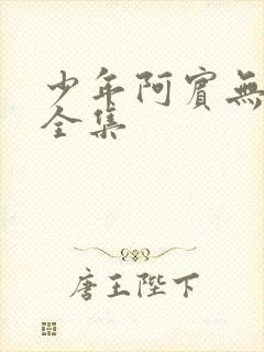 少年阿宾无删减全集