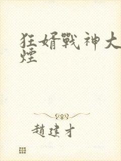 狂婿战神大漠孤烟