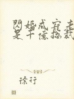 闪婚成宠老公竟是千亿总裁