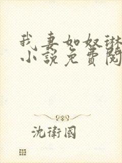 我妻如奴琳原文小说免费阅读