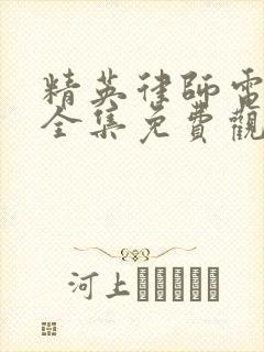 精英律师电视剧全集免费观看完整版高清