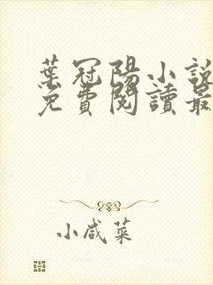 叶冠阳小说全文免费阅读最新章节