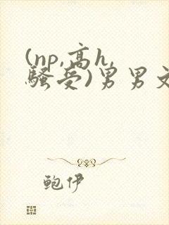 (np,高h,骚受)男男文