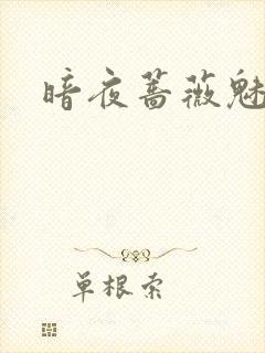 暗夜蔷薇魅