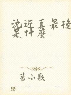 沈近真最后结局是什么封面