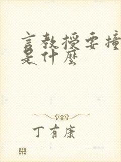 言教授要撞坏了是什么