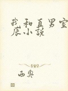 我和直男室友张辰小说封面