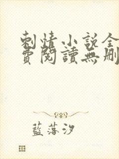 刺情小说全文免费阅读无删减封面